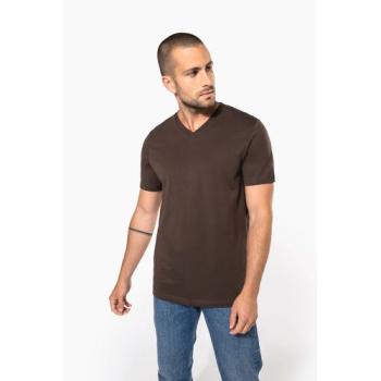 Men's short-sleeved V-neck T-shirt