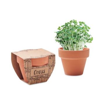 Terracotta pot cress seeds CRESS POT