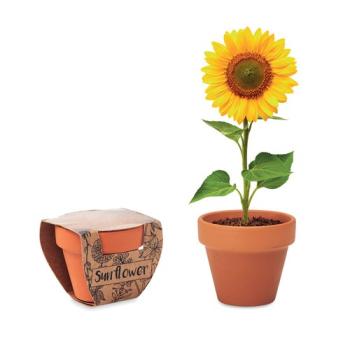 SUNFLOWER Pot graines de tournesol