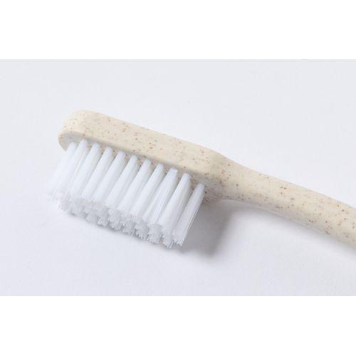 Duncan toothbrush