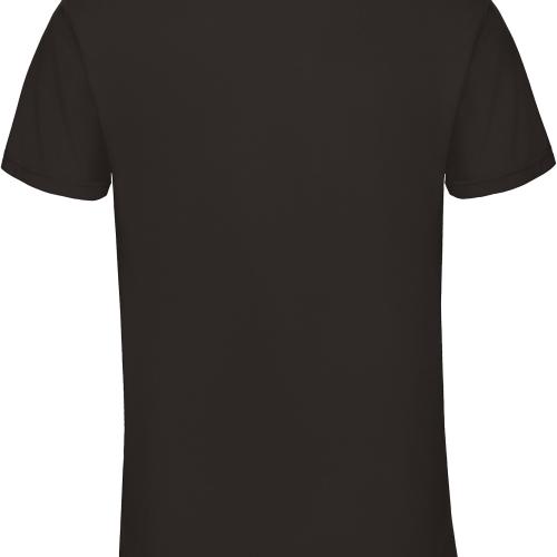 Men's Triblend V-neck T-shirt