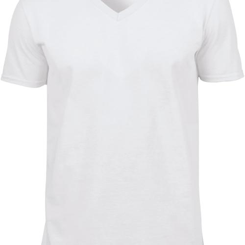 Men's Softstyle V-neck T-shirt