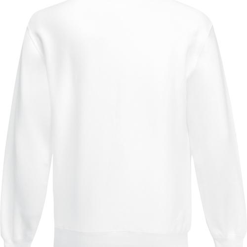 Classic Crew Neck Sweatshirt (62-202-0)