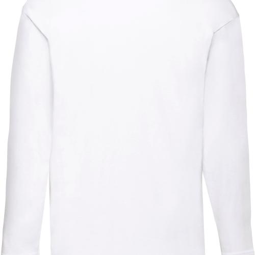 Men's Valueweight long-sleeved T-Shirt (61-038-0)