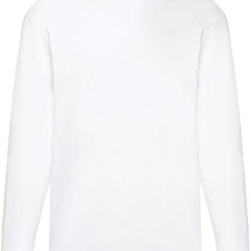 Men's Valueweight long-sleeved T-Shirt (61-038-0)