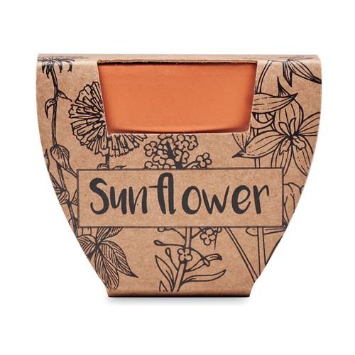 SUNFLOWER Pot graines de tournesol