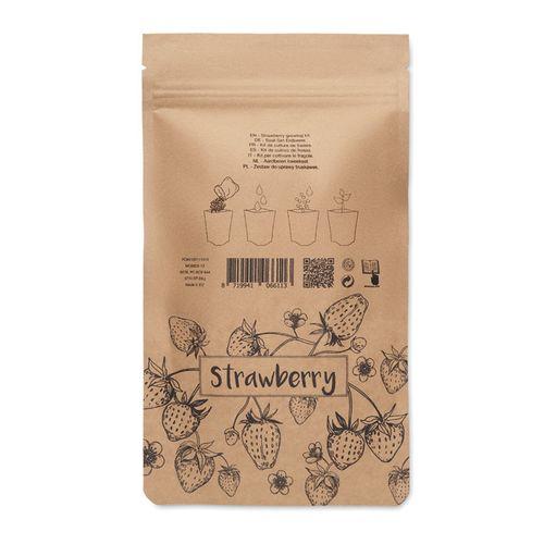 Kit de culture de fraises FRESA KIT